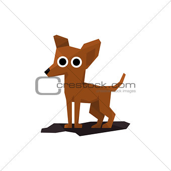 Chihuahua Miniature Dog