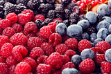 Fresh berries assortment