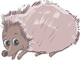 cartoon hedgehog animal character