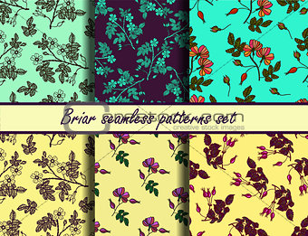 Briar seamless patterns set