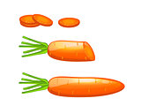 set carrot infographics elements with slices