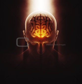 3D medical image of male figure with brain
