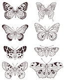 Hand drawn butterflies