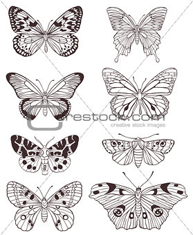  Hand drawn butterflies