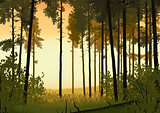 forest landscape illustration