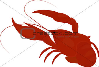 boiled red crayfish, crawfish