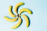 Bananas on blue background