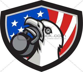 Bald Eagle Lifting Kettleball USA Flag Shield Retro