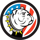 Bulldog Head USA Flag Circle Cartoon