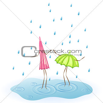 umbrella dancing in the rain