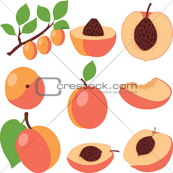 Peach. Set peaches, pieces and slices