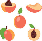 Peach. Set peaches, pieces and slices