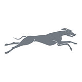 silhouette of running dog whippet breed