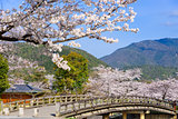 Arashiyama, Kyoto in Spring