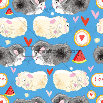 Pattern enamored hamster