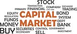 word cloud - capital market