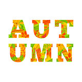 Autumn word from colorful leaves.