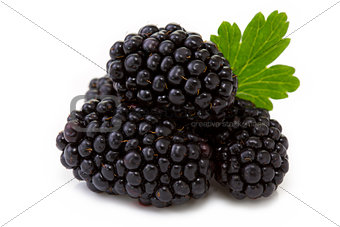 Blackberry with leaf.