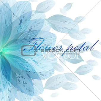 Floral round pattern blue flower petals