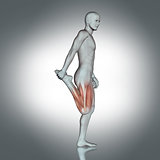 3D medical figure doing leg stretch