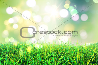 3D green grass