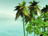 3D palm trees looking over misty ocean