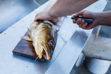 Big nowegian fish on cutting board