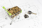shopping cart with money on the house project