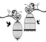 Vintage Bird Cages