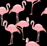 vector flamingo seamless background