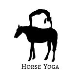 Silhouette of young beautiful woman practicing yoga with horse.