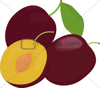 Ripe whole and half plums fruit with leaves isolated on white background.