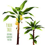 Palm Trees. Vector illustration