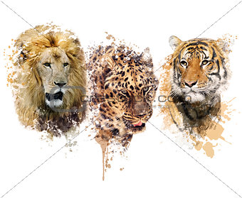 Lion ,Leopard and Tiger watercolor