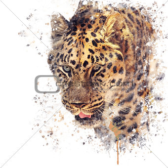 Portrait of Leopard watercolor