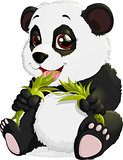 Very cute Panda eating bamboo