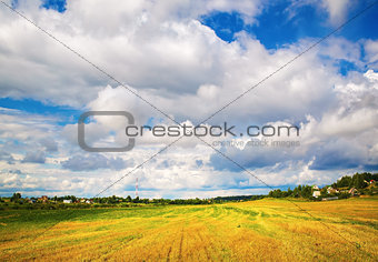 Bright rural landscape