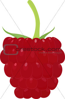 Ripe raspberry icon