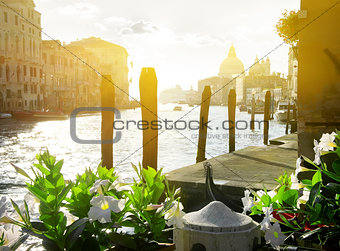 Flowers near the Grand Canal