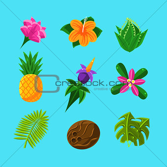 Tropical Plants And Fruits Set