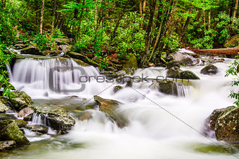 Smoky Mountains Waterfall