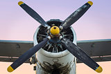 Old Single Engine Propeller Airplane