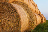 Bales of Hay Rolled Into Stacks. Rolls of Wheat in the Grass. Ba