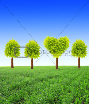 Heart shape tree on green field