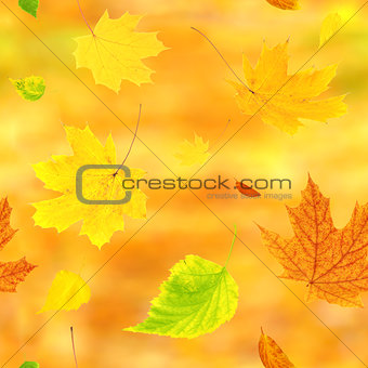 Seamless background with flying autumn leaves