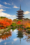 Toji Pagoda in Japan