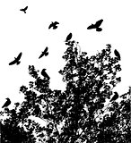 Tree With Birds