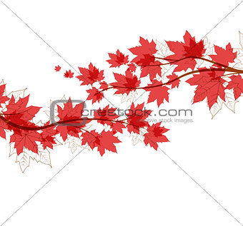 Vector autumn leaves