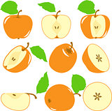 Orange color apples slices, collection of vector illustrations on a transparent background