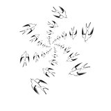 Flying Swallow Animal Pattern.